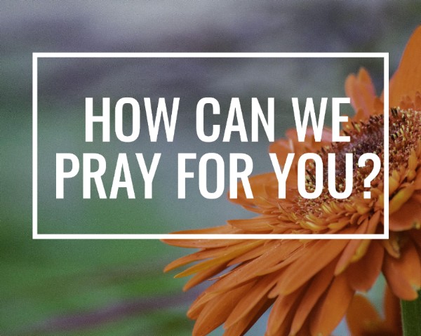 Featured Item Prayer Request